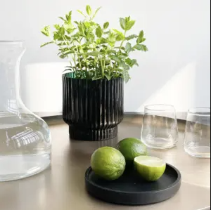 Bao tray-2