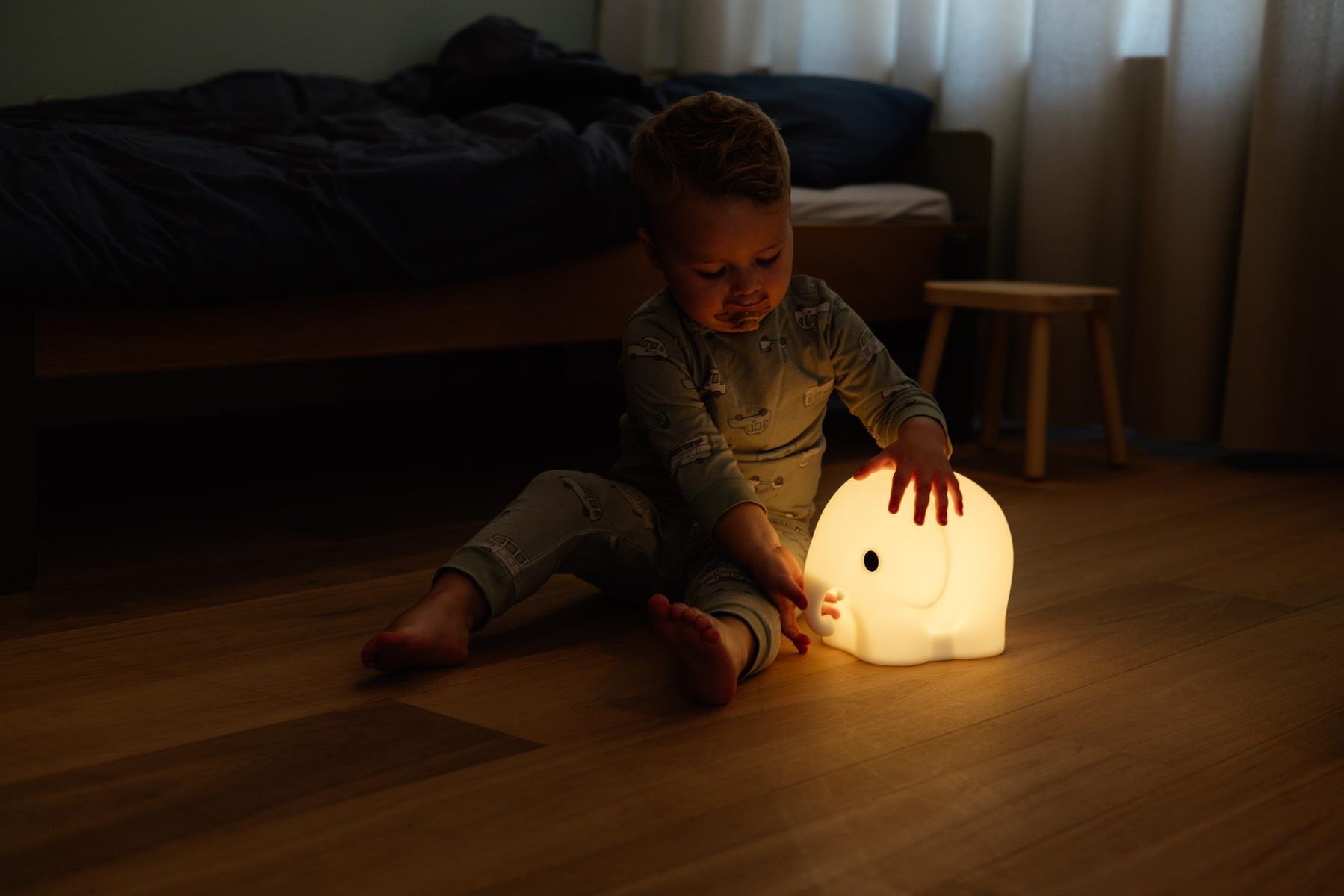 elephant-first-light-mr-mar-7459fe