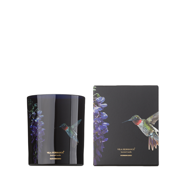 vela-hummingbird-1645098027-1
