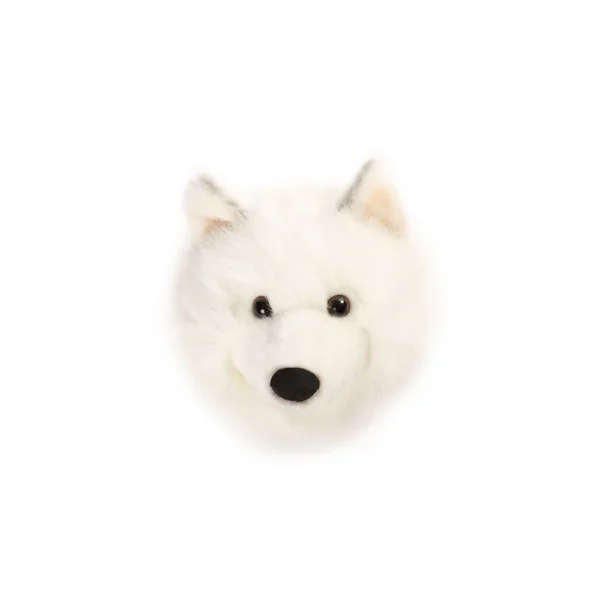White Wolf Lucy