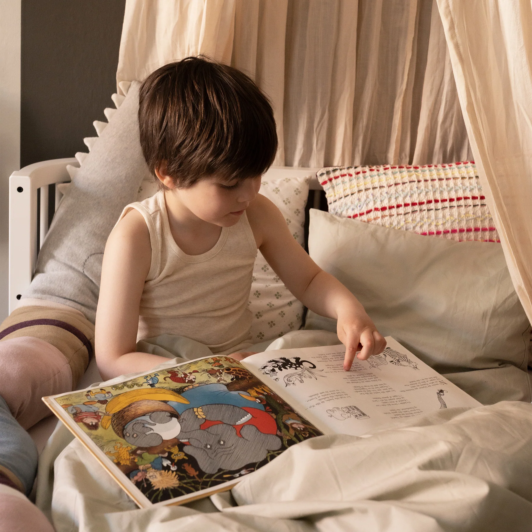 200130046-4_1800x1800